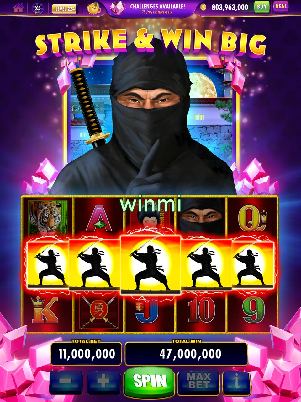 winmi Login